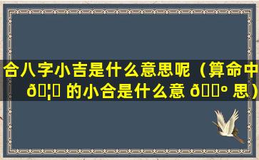 合八字小吉是什么意思呢（算命中 🦊 的小合是什么意 🌺 思）